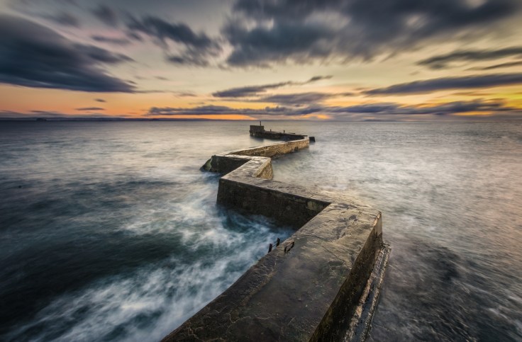 32985509521_d8ac5d31e2_o