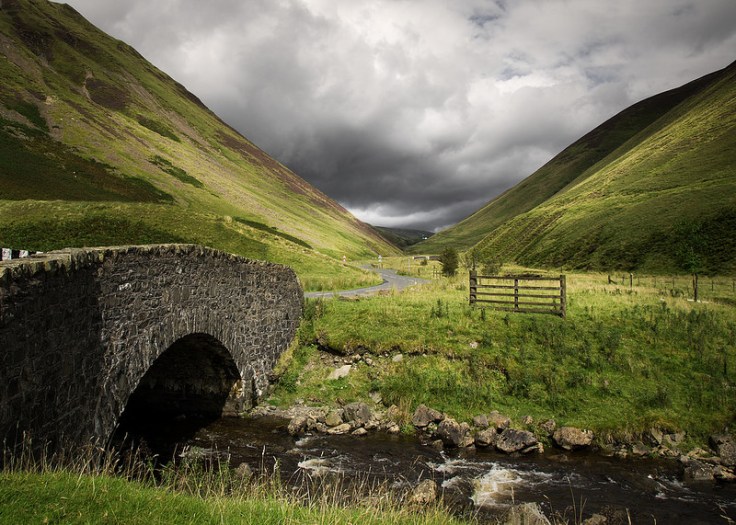 36422285034_5bfa85a057_c