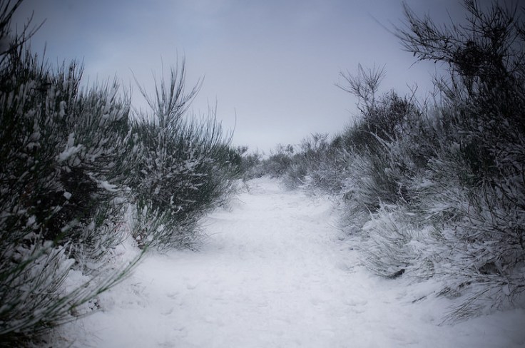 15814255707_de1010eb73_c