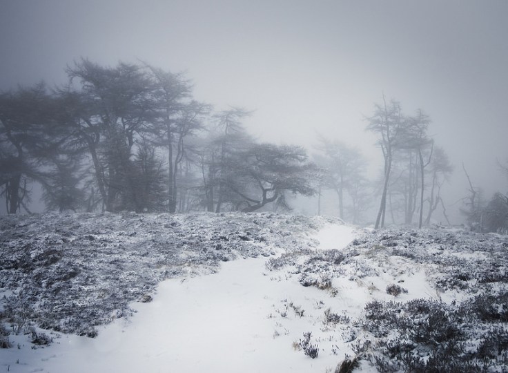 32930840056_ec3eabd391_c