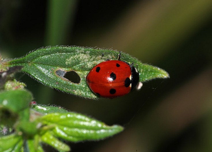 15023239220_db8a1768e0_c