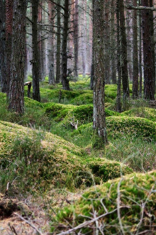 15421399465_1a2d594dd2_c