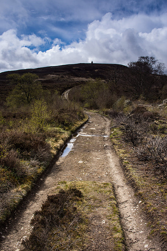 17486658252_8dfe19490c_c