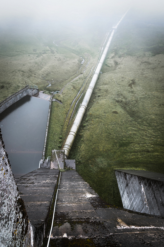 35617116680_58ea91a5bd_c