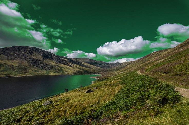 21302918010_36d711de80_c8