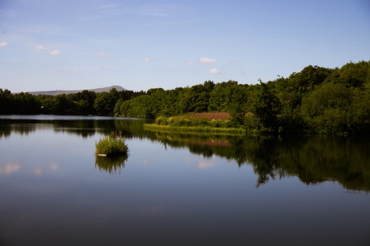 s-curve-reduce-blue-reduce-green