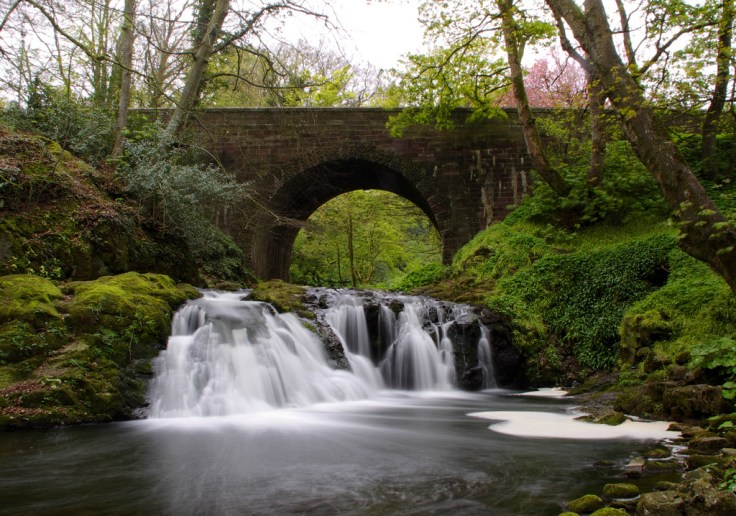 8023194095_7c7de62456_b