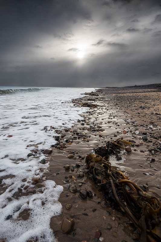 25879161887_793222cedb_c