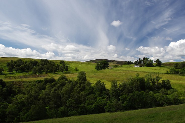 8660578802_b6aa62c5de_c